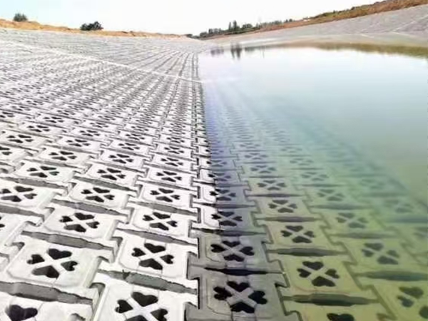 水泥磚、灰砂磚、門框磚、標(biāo)磚、配磚、三角磚、異型磚、護(hù)坡磚、連鎖磚、擋土磚、路沿石